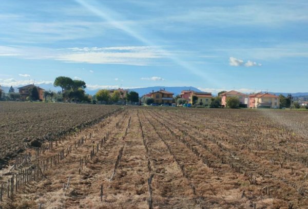 terreno agricolo in vendita a Cartoceto
