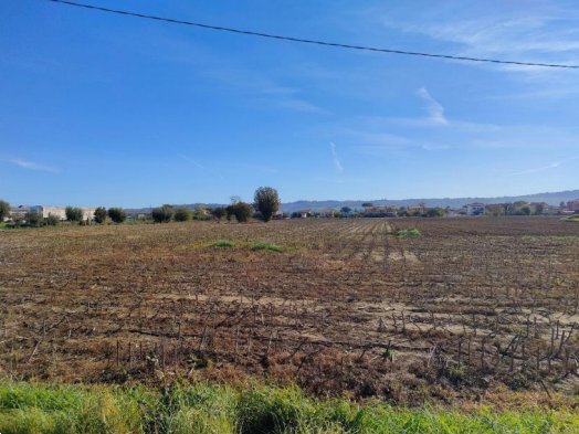 terreno agricolo in vendita a Cartoceto