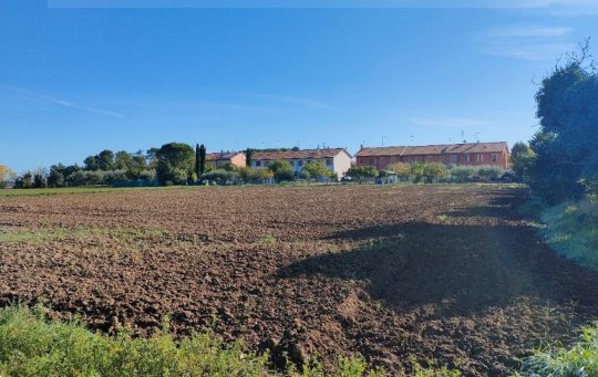 terreno agricolo in vendita a Cartoceto