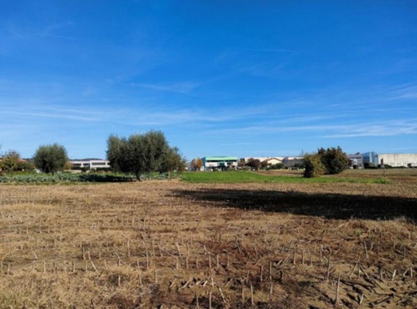 terreno agricolo in vendita a Cartoceto