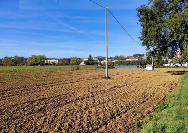 terreno agricolo in vendita a Cartoceto