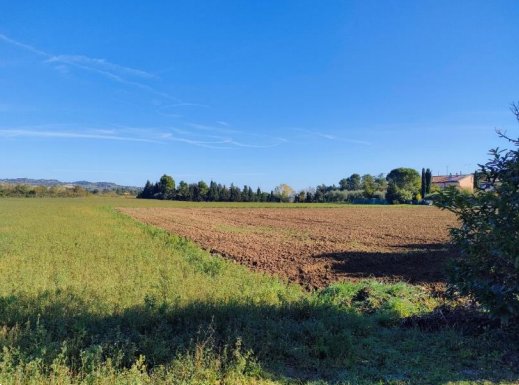 terreno agricolo in vendita a Cartoceto