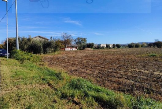 terreno agricolo in vendita a Cartoceto