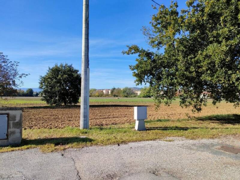 terreno agricolo in vendita a Cartoceto