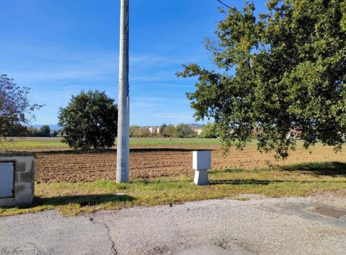 terreno agricolo in vendita a Cartoceto