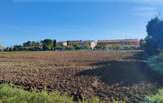terreno agricolo in vendita a Cartoceto
