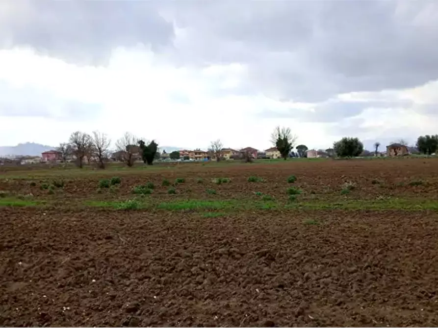 terreno edificabile in vendita a Cartoceto in zona Lucrezia