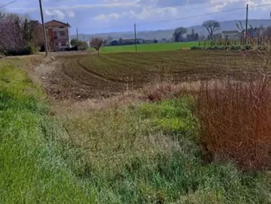 terreno edificabile in vendita a Cartoceto in zona Lucrezia