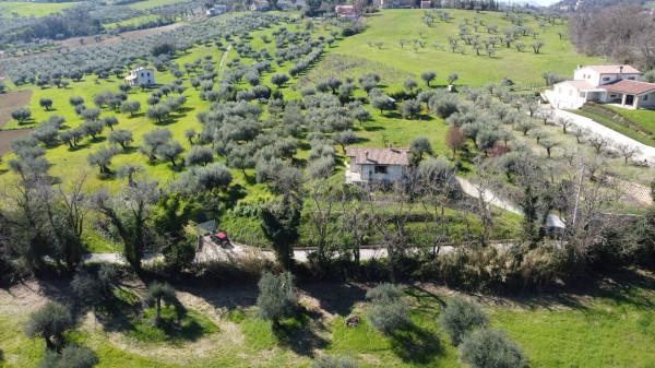casa indipendente in vendita a Cartoceto