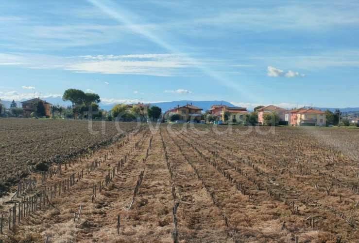 terreno agricolo in vendita a Cartoceto