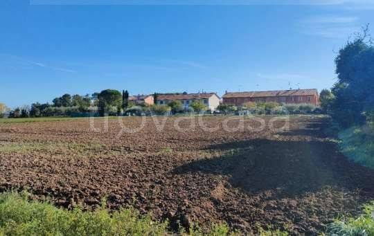 terreno agricolo in vendita a Cartoceto
