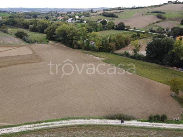 terreno agricolo in vendita a Cartoceto in zona Lucrezia