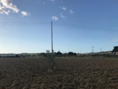 negozio in vendita a Cartoceto in zona Lucrezia