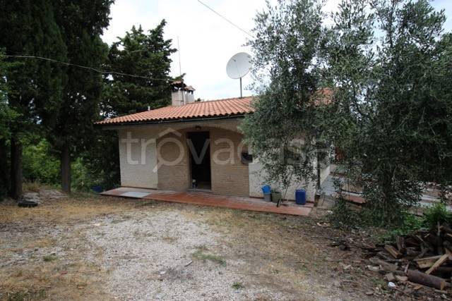 casa indipendente in vendita a Cartoceto