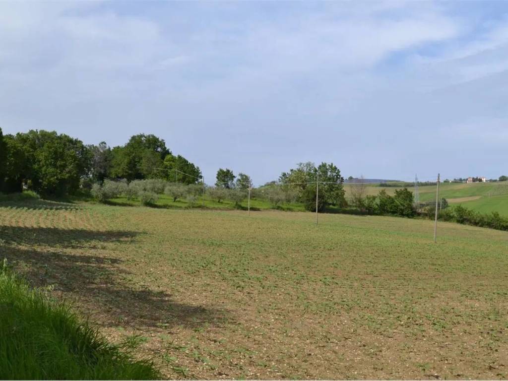 terreno agricolo in vendita a Cartoceto
