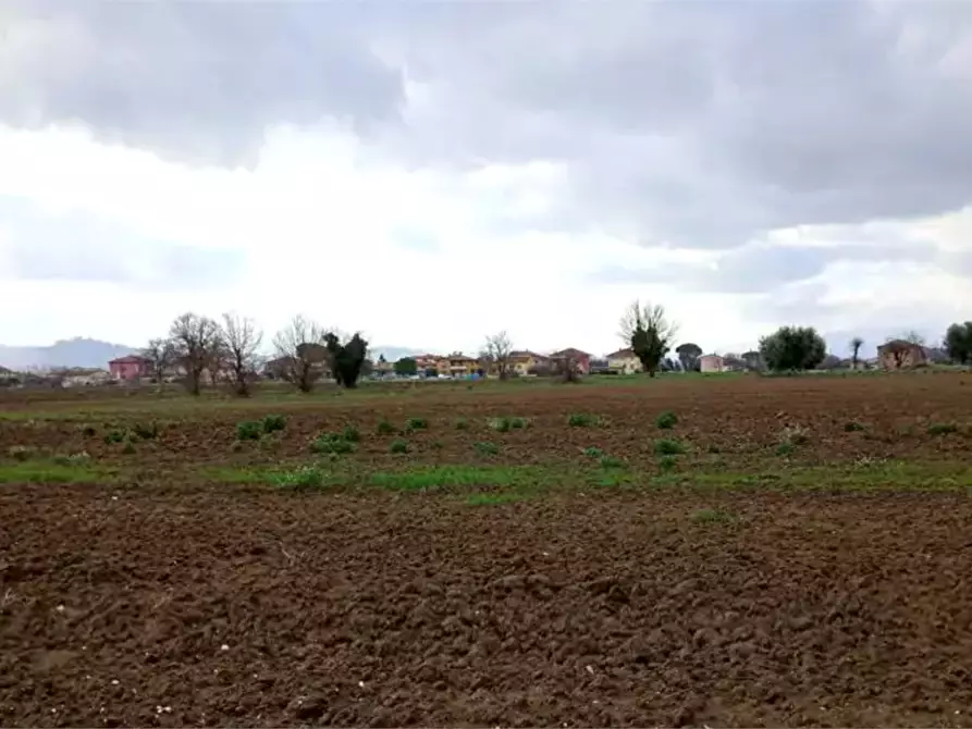 terreno edificabile in vendita a Cartoceto in zona Lucrezia