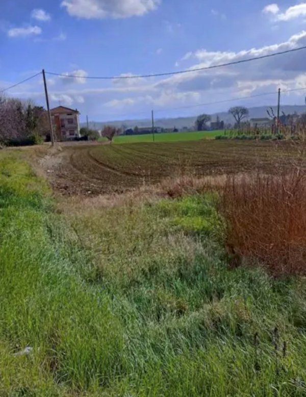 terreno edificabile in vendita a Cartoceto in zona Lucrezia