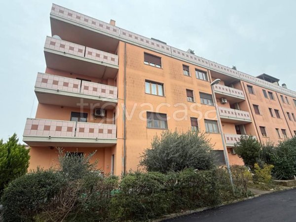 appartamento in vendita a Cartoceto in zona Lucrezia