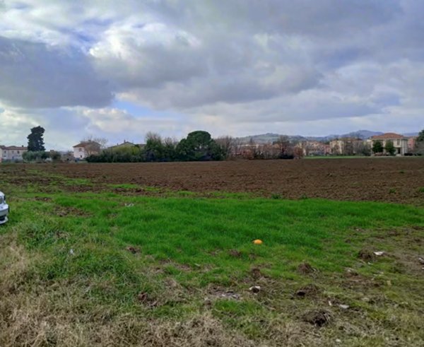 terreno edificabile in vendita a Cartoceto in zona Lucrezia