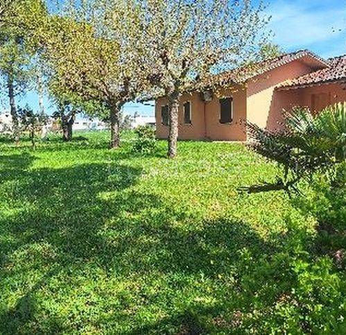 casa indipendente in vendita a Cartoceto