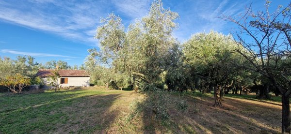 casa indipendente in vendita a Cartoceto