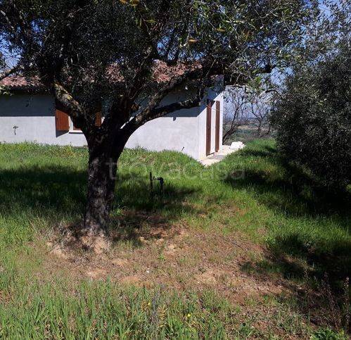 casa indipendente in vendita a Cartoceto