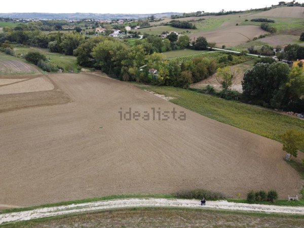 terreno agricolo in vendita a Cartoceto in zona Lucrezia