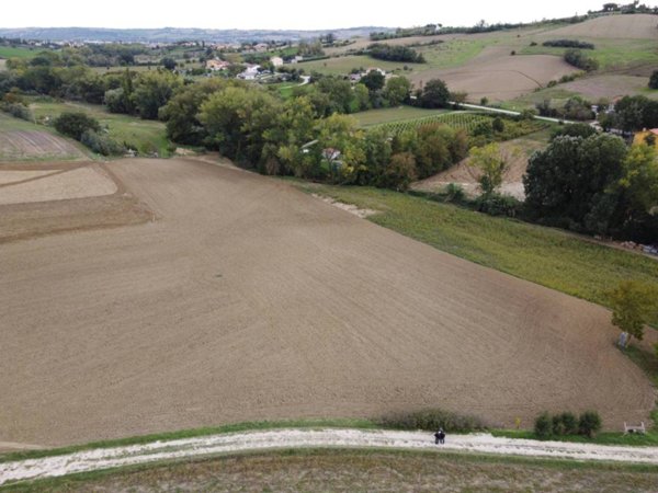 terreno agricolo in vendita a Cartoceto in zona Lucrezia