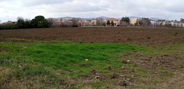 terreno edificabile in vendita a Cartoceto in zona Lucrezia