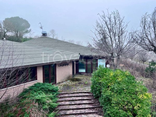 negozio in vendita a Cartoceto