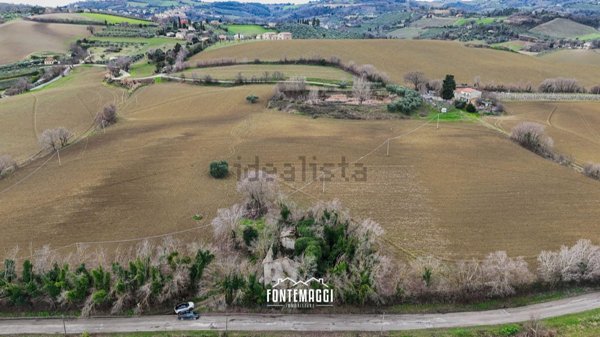 terreno agricolo in vendita a Cartoceto in zona Sant'Anna