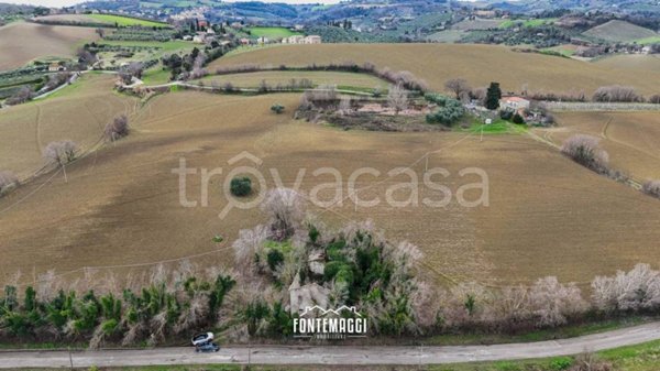 terreno agricolo in vendita a Cartoceto in zona Sant'Anna