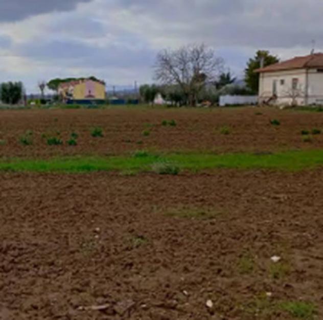 intera palazzina in vendita a Cartoceto in zona Lucrezia