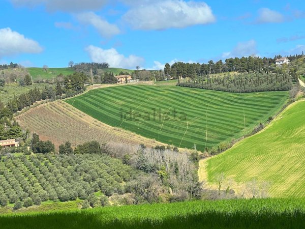 terreno agricolo in vendita a Cartoceto