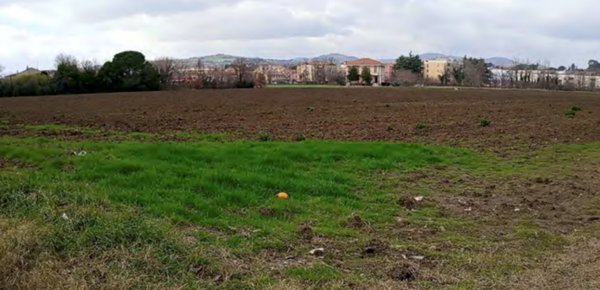 terreno edificabile in vendita a Cartoceto in zona Lucrezia