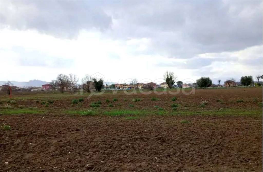 monolocale in vendita a Cartoceto in zona Lucrezia