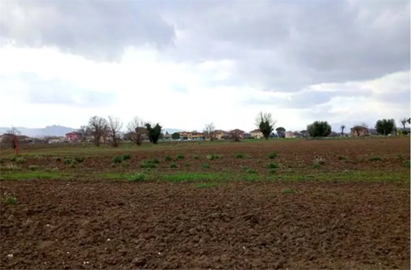 terreno edificabile in vendita a Cartoceto in zona Lucrezia