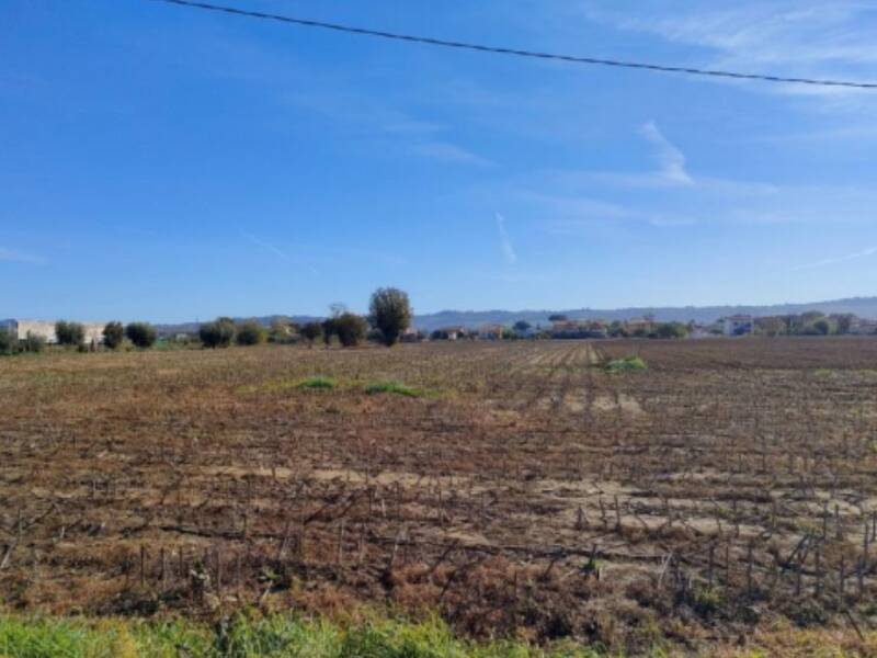 terreno agricolo in vendita a Cartoceto in zona Lucrezia