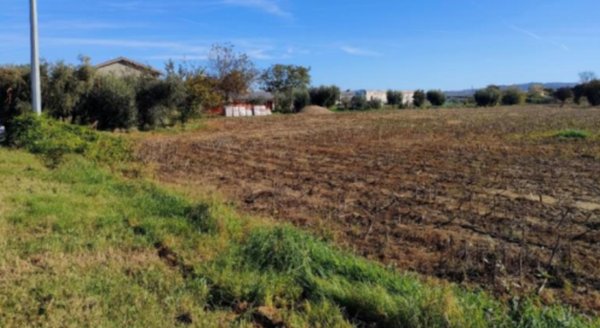 terreno agricolo in vendita a Cartoceto in zona Lucrezia