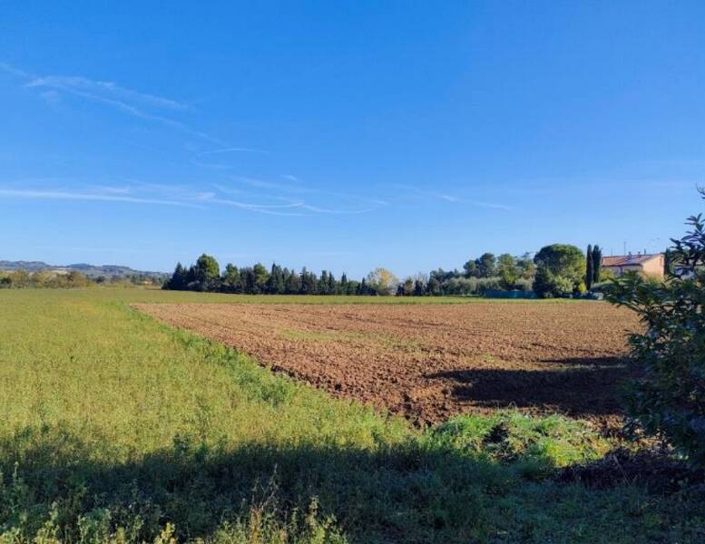 terreno agricolo in vendita a Cartoceto