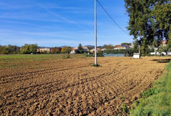 terreno agricolo in vendita a Cartoceto
