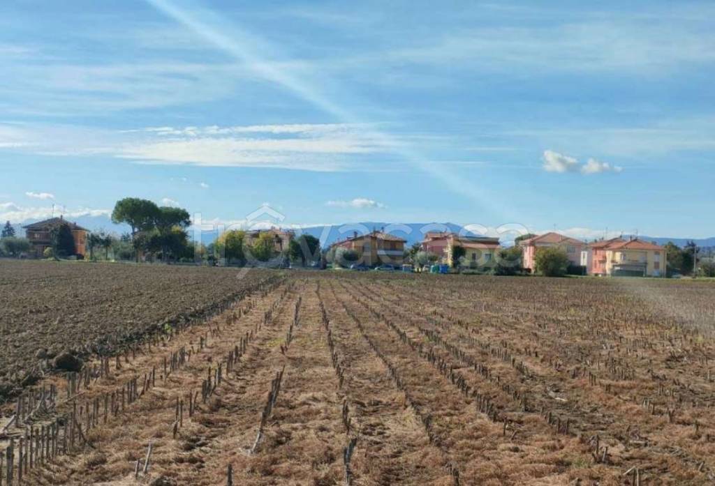 monolocale in vendita a Cartoceto in zona Lucrezia