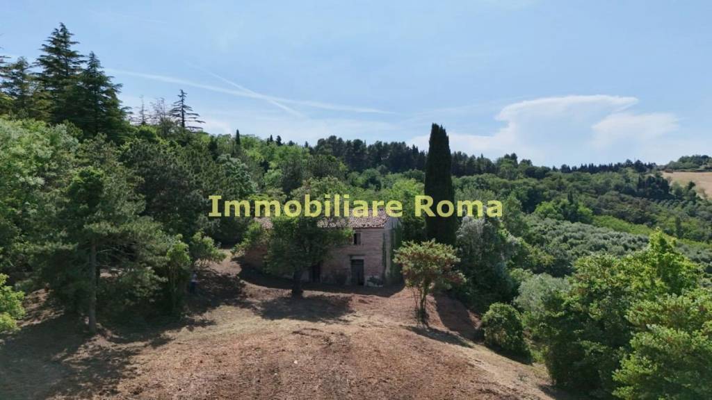 casa indipendente in vendita a Cartoceto