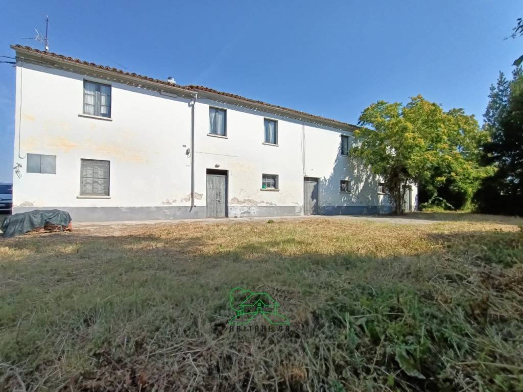negozio in vendita a Cartoceto in zona Lucrezia