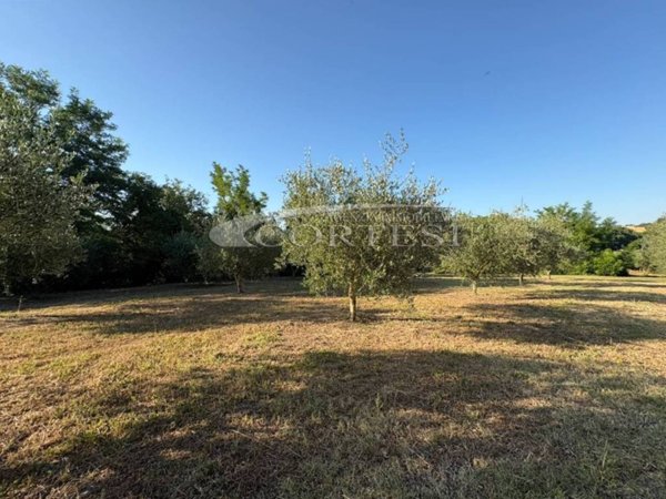 appartamento in vendita a Cartoceto in zona Sant'Anna