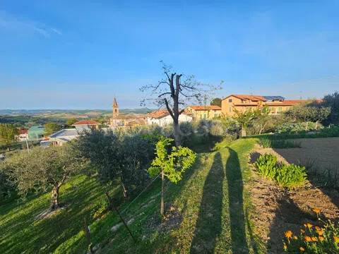 terreno agricolo in vendita a Cartoceto