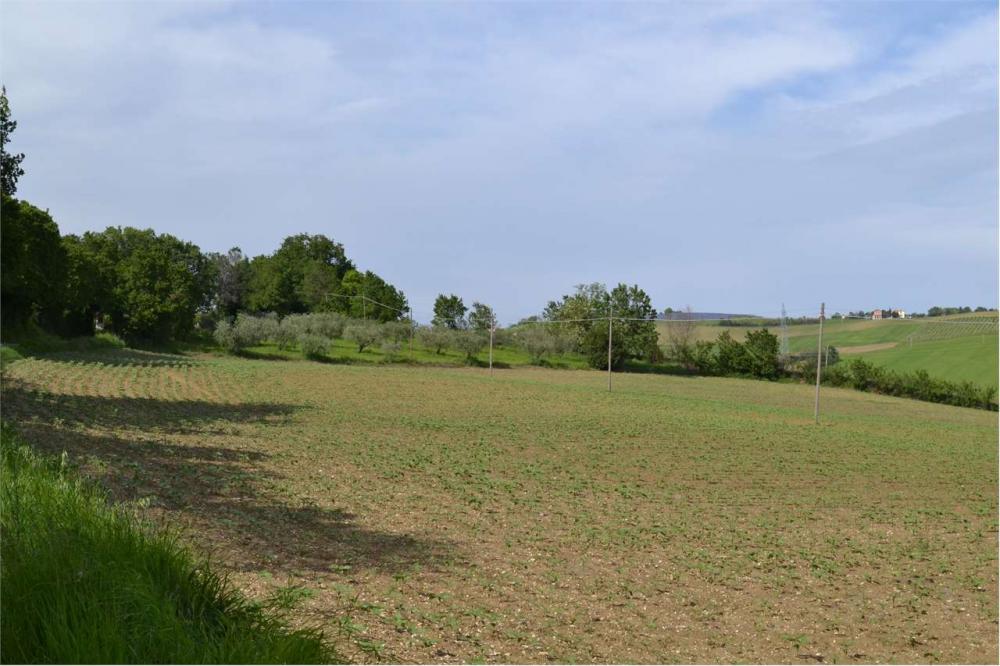 terreno in vendita a Cartoceto in zona Sant'Anna