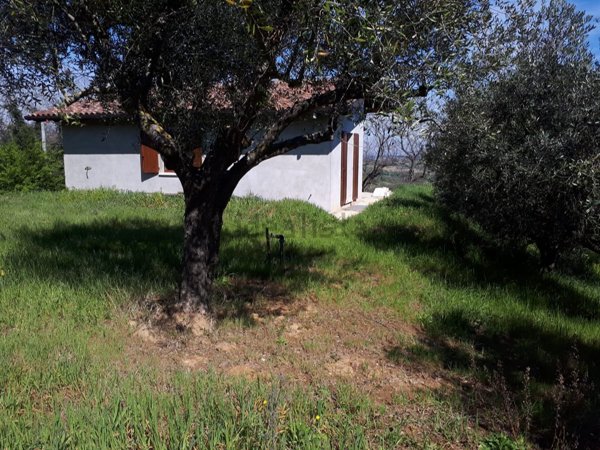 casa indipendente in vendita a Cartoceto in zona Sant'Anna