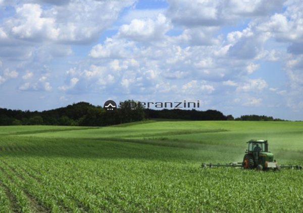 terreno agricolo in vendita a Fano