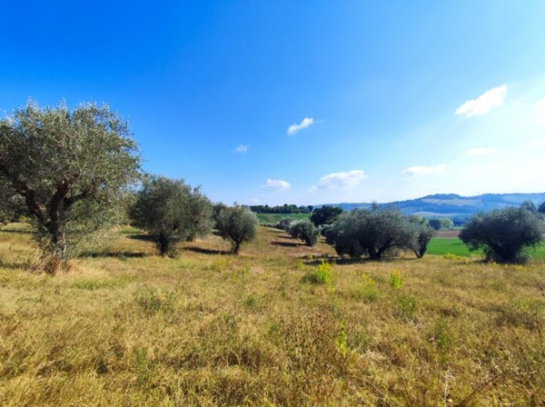 terreno agricolo in vendita a Fano in zona Sant'Andrea